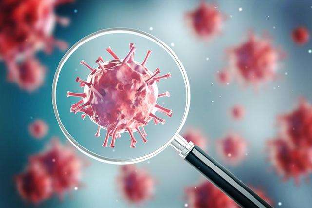 /uploads/image/2021/01/08/病毒.jpg 病毒.jpg